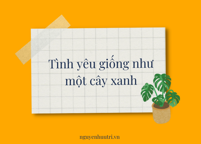 Tình yêu giống như một cây xanh