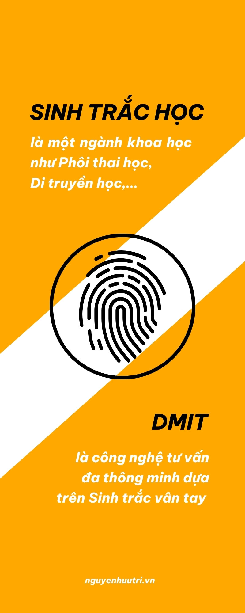 Phân biệt DMIT và sinh trắc vân tay