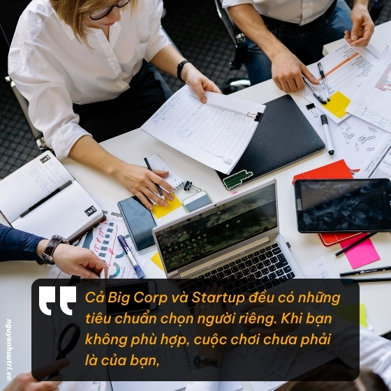 Làm việc ở Big Corp hay Startup