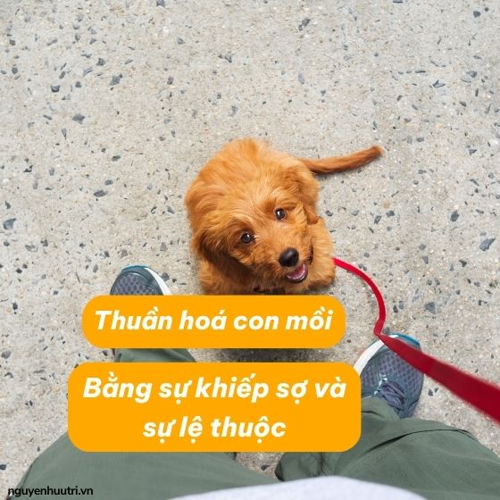 Thuần hoá con mồi bằng nỗi sợ và sự ỷ lại